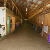 barnstalls