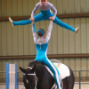 vaulting